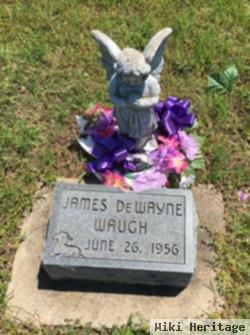 James Dewayne Waugh