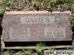 Phebe Ann Reeves Davies