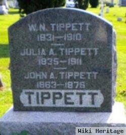 Julia A Harris Tippett