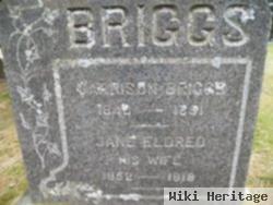 Garrison Briggs