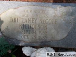 Brittney Necole Nicholson