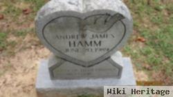 Andrew J Hamm