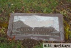 Anita C. Strelow