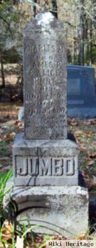 Charles M. "jumbo" Hurt