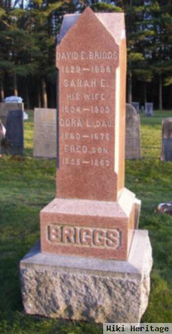 David E Briggs