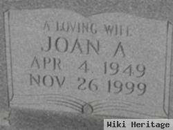 Joan A. Wilkie