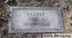 Ned Albert Blakeman