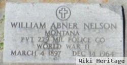 William Abner Nelson