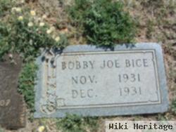 Bobby Joe Bice