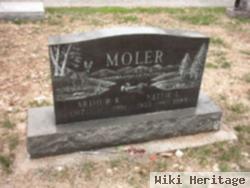 Nellie L Moler