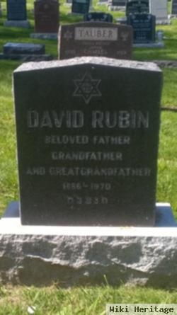 David Rubin