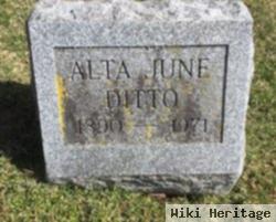 Alta June Ditto