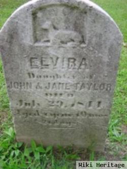 Elvira Taylor