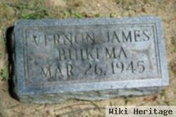 Vernon James Buikema