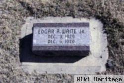 Edgar Waite, Jr