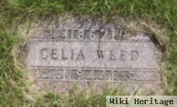 Celia Weed