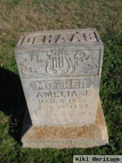 Amelia J Litz Dehaas