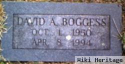 David A. Boggess