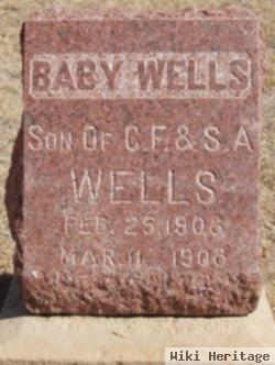 Baby Son Wells