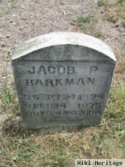 Jacob P Barkman