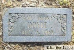 Amy Diane Doyle