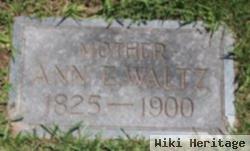 Ann Elizabeth Mceldowney Waltz