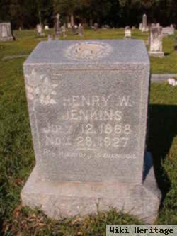 Henry W Jenkins