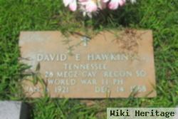 David E. Hawkins