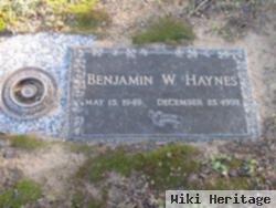 Benjamin W. Haynes