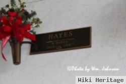 Hardin Wayne Hayes