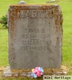 David W. Martin