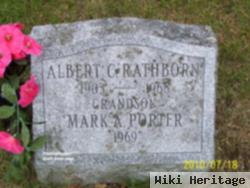 Mark A Porter