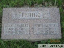 Ethel Bush Pedigo