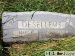 Mary C Briggs Desellems