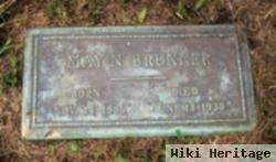 May Nettie Hunter Brunner