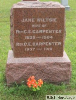 Jane Wiltsie Carpenter