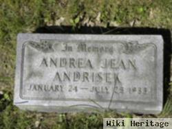 Andrea Jean Andrisek