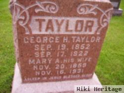 George H Taylor