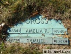 Amelia K Gross