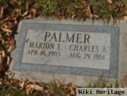 Charles A Palmer