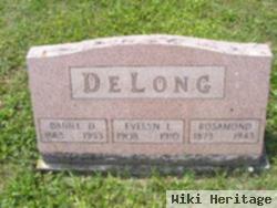 Daniel D Delong
