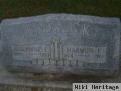 Harmon F Radsick