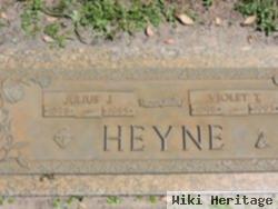 Julius John Heyne