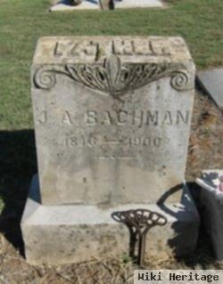 J. A. Bachman