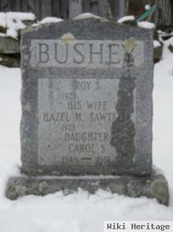 Roy S Bushey