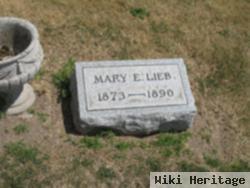 Mary E. Lieb