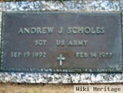 Andrew J Scholes