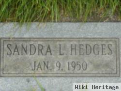 Sandra L Hedges