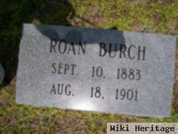 Roan Burch