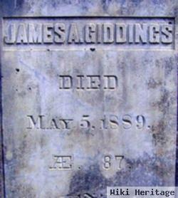 James Andrus Giddings, Jr
